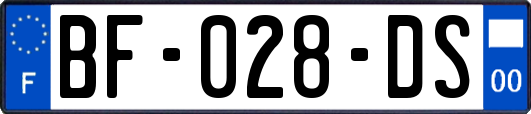 BF-028-DS