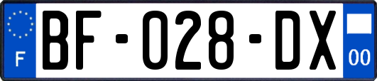 BF-028-DX