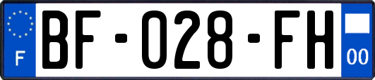 BF-028-FH