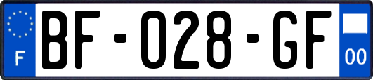 BF-028-GF