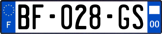 BF-028-GS