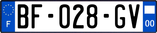 BF-028-GV