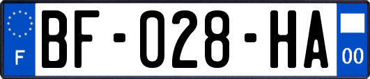 BF-028-HA