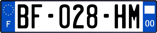 BF-028-HM