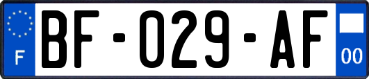 BF-029-AF