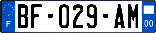 BF-029-AM