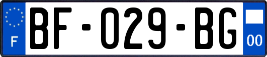 BF-029-BG