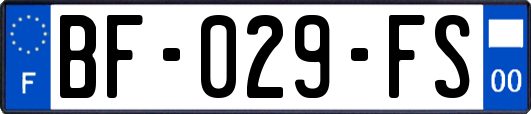 BF-029-FS