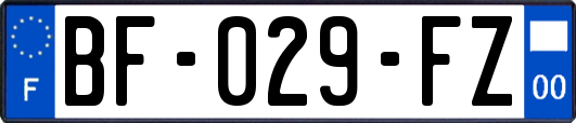 BF-029-FZ