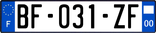 BF-031-ZF