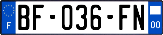 BF-036-FN