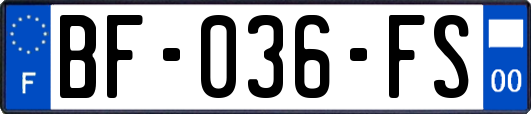 BF-036-FS