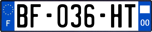 BF-036-HT