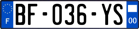 BF-036-YS