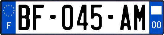 BF-045-AM