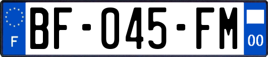 BF-045-FM