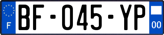 BF-045-YP