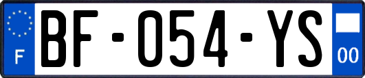 BF-054-YS