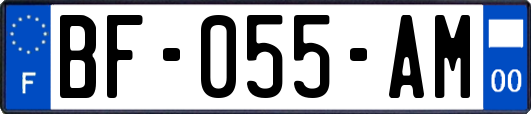 BF-055-AM