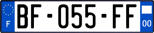 BF-055-FF