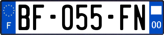 BF-055-FN