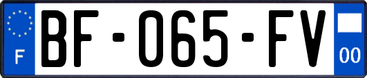 BF-065-FV