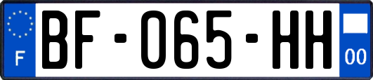 BF-065-HH