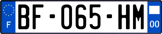 BF-065-HM