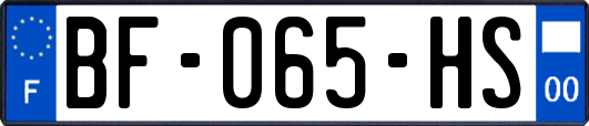 BF-065-HS