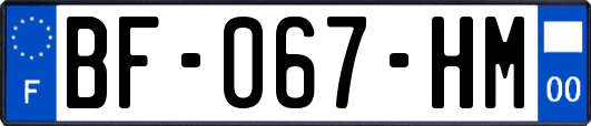 BF-067-HM