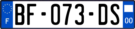 BF-073-DS