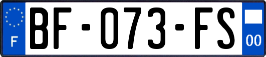 BF-073-FS