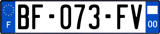 BF-073-FV