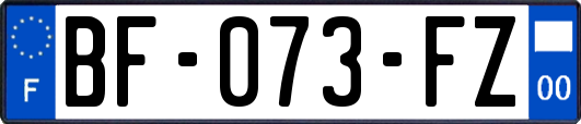 BF-073-FZ