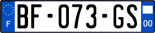 BF-073-GS