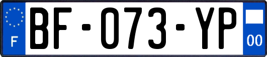 BF-073-YP
