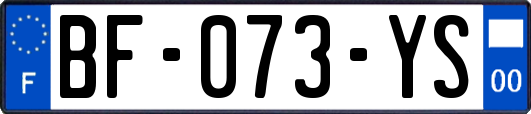 BF-073-YS