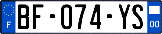 BF-074-YS