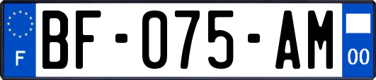 BF-075-AM