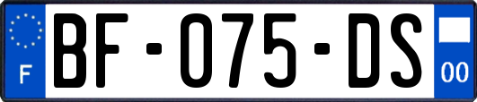 BF-075-DS