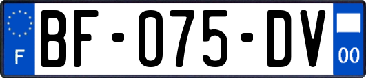 BF-075-DV