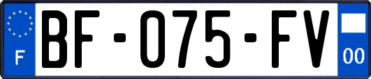 BF-075-FV