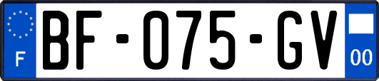 BF-075-GV
