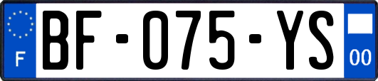 BF-075-YS
