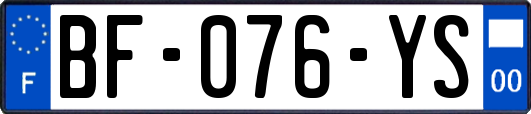 BF-076-YS