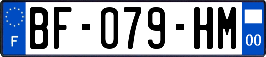 BF-079-HM