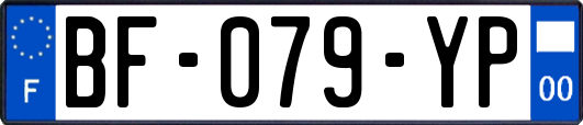 BF-079-YP