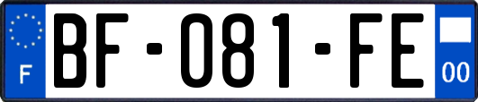 BF-081-FE