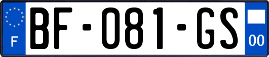 BF-081-GS