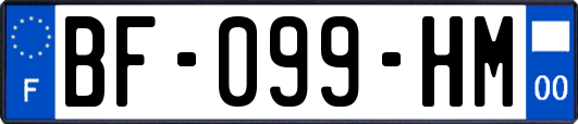 BF-099-HM
